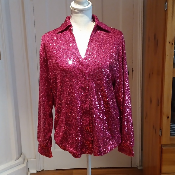 Rachel Zoe Tops - Rachel Zoe Long Sleeved Sequinned Blouse